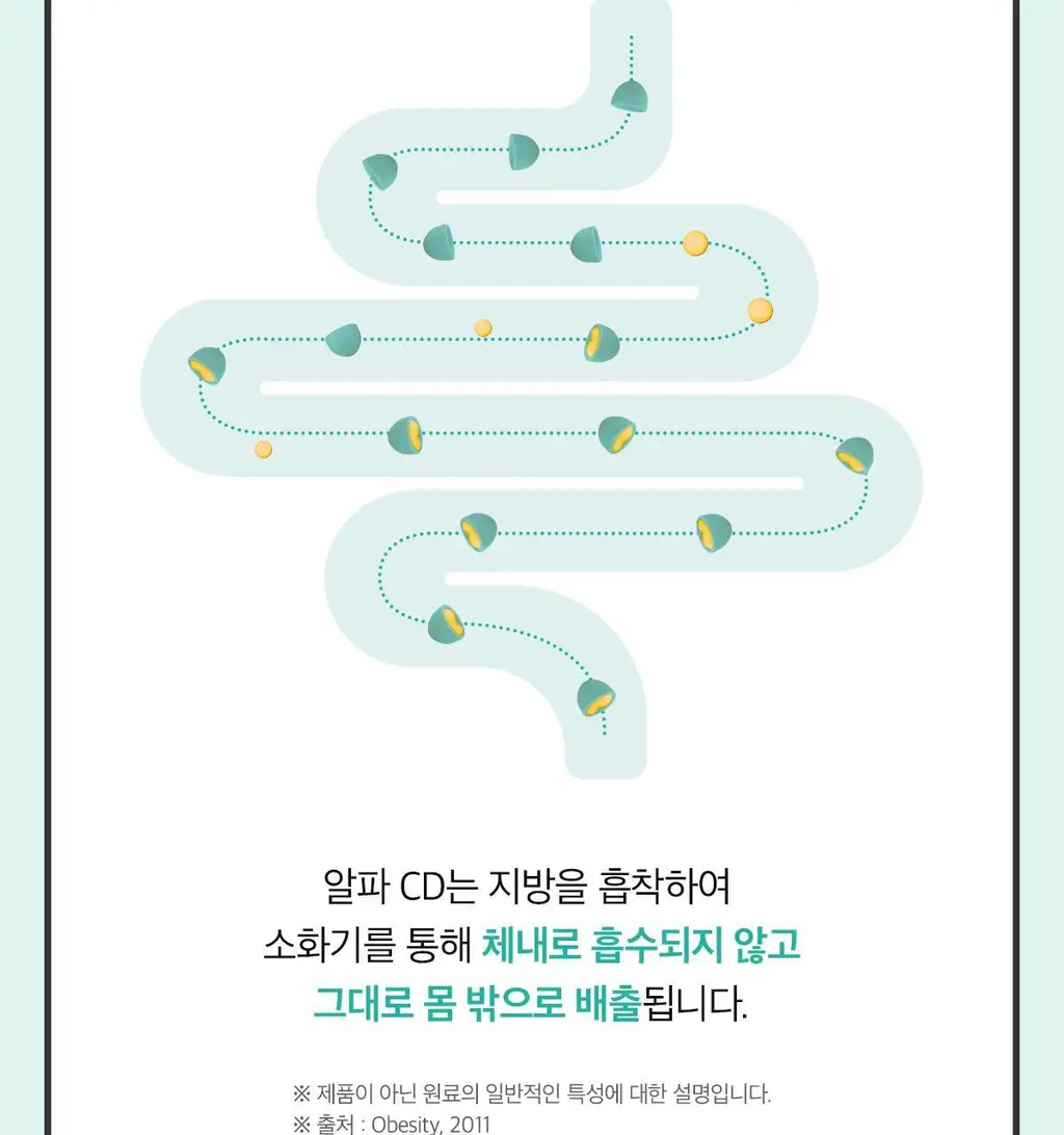 [올영단독] 닥터린 알파CD 원데이 핏 30포 (1개월분) 상세페이지 15